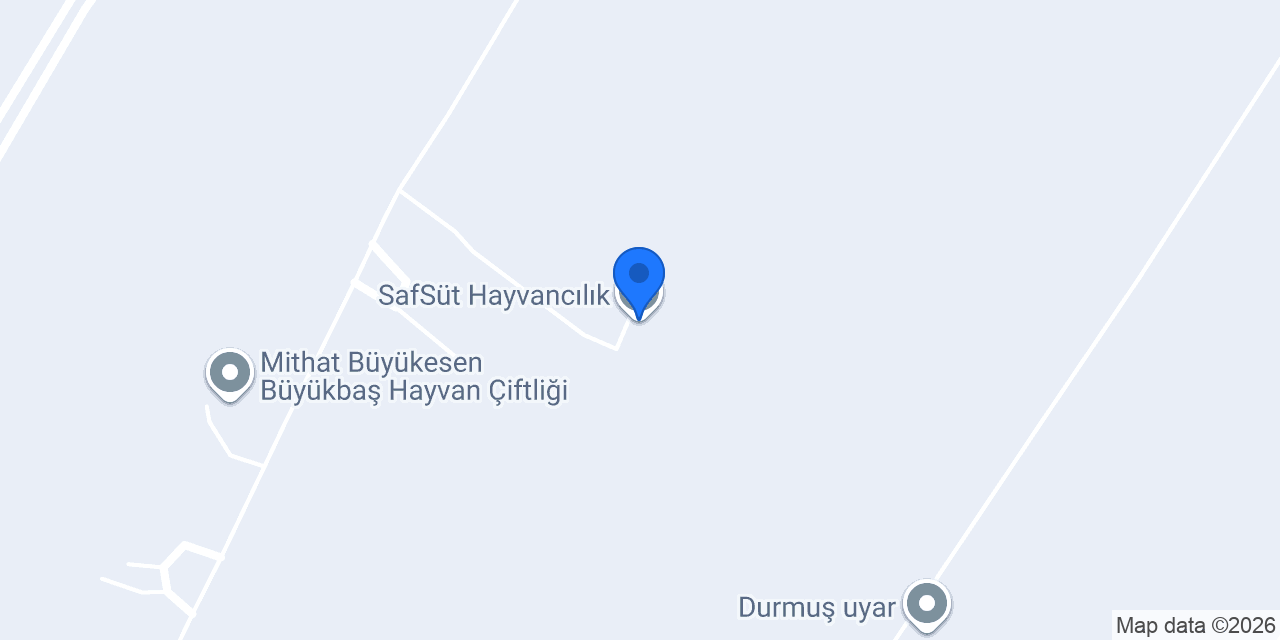 SafSüt Hayvancılık konumu