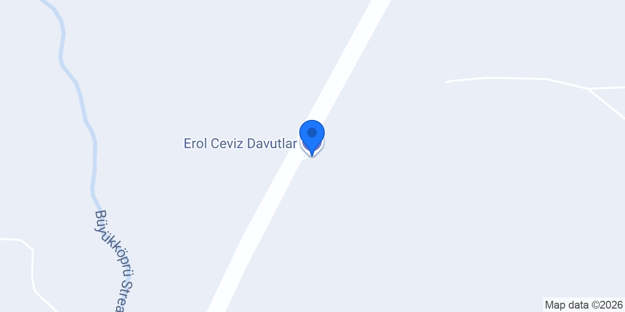Erol Ceviz Davutlar konumu