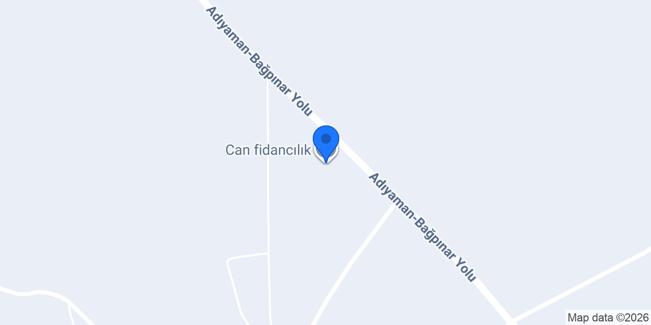 Can fidancılık konumu