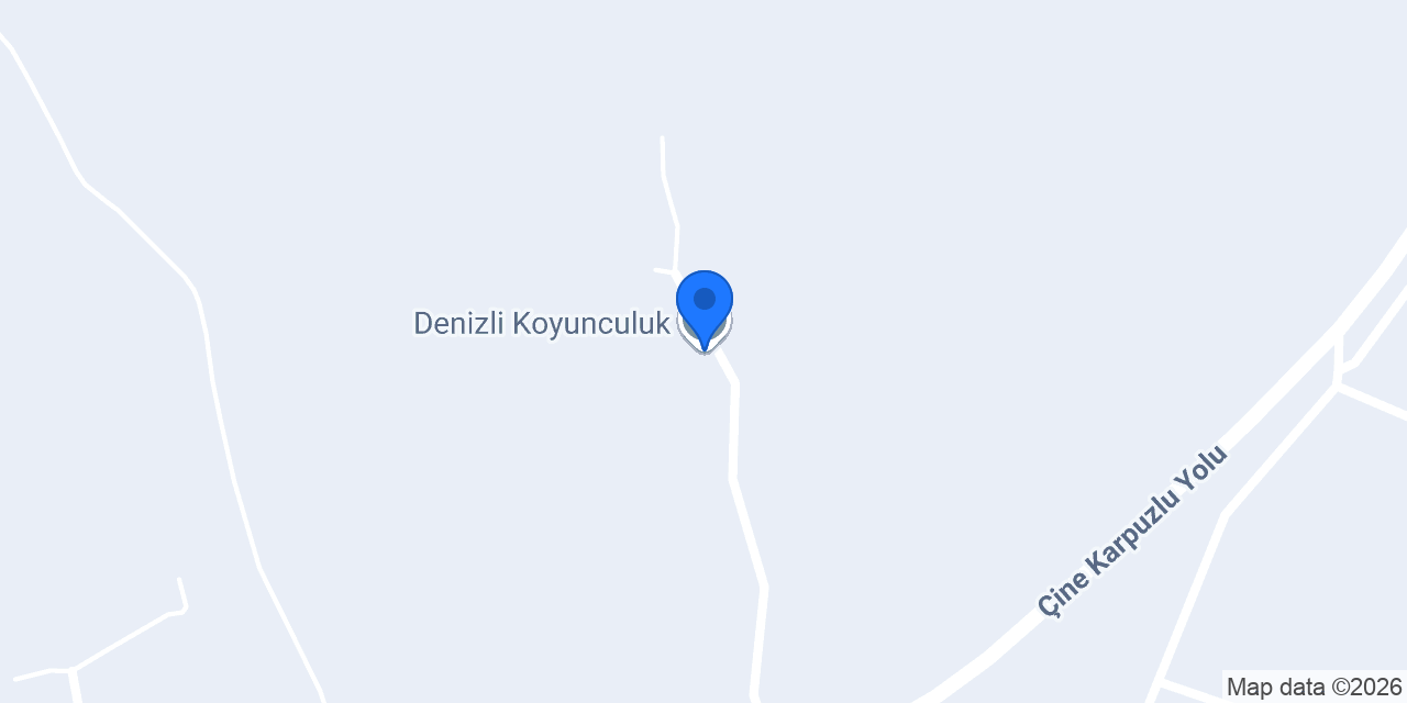 Denizli Koyunculuk konumu