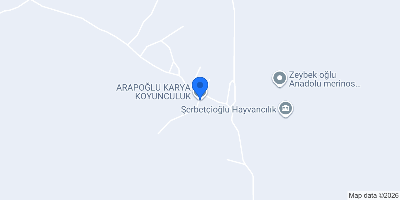 ARAPOĞLU KARYA KOYUNCULUK konumu