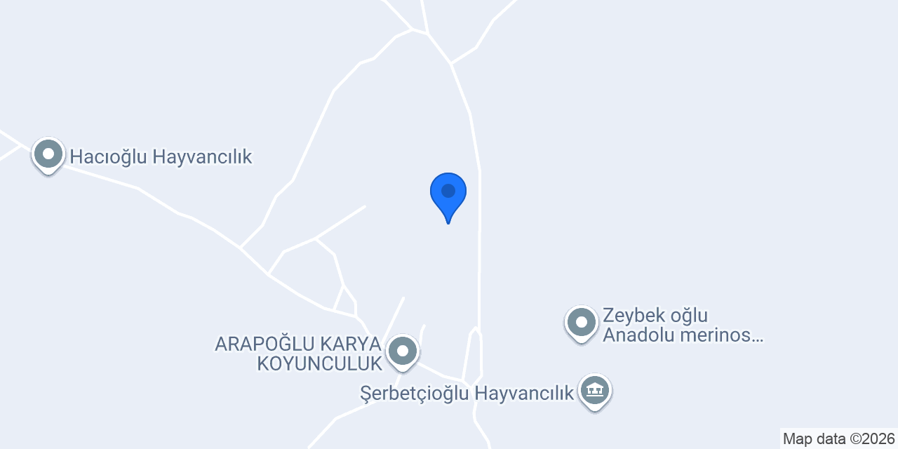 MUSTAFA YAHŞİ KARYA KOYUNCULUK konumu
