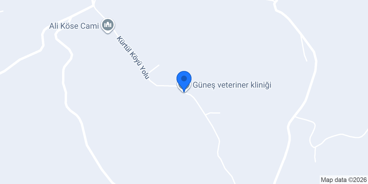 Güneş veteriner kliniği konumu