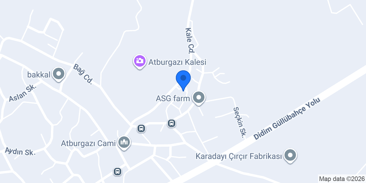M.ÖZKAN (MUDUR) SARAYI konumu