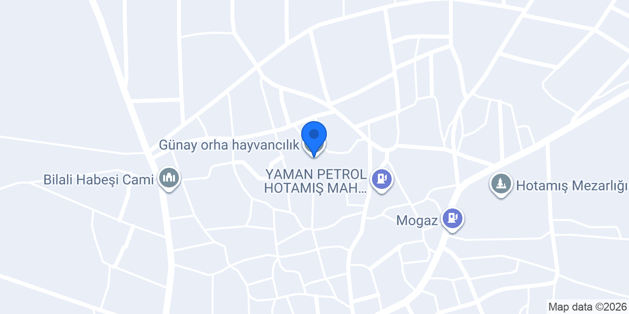 Günay orha hayvancılık konumu
