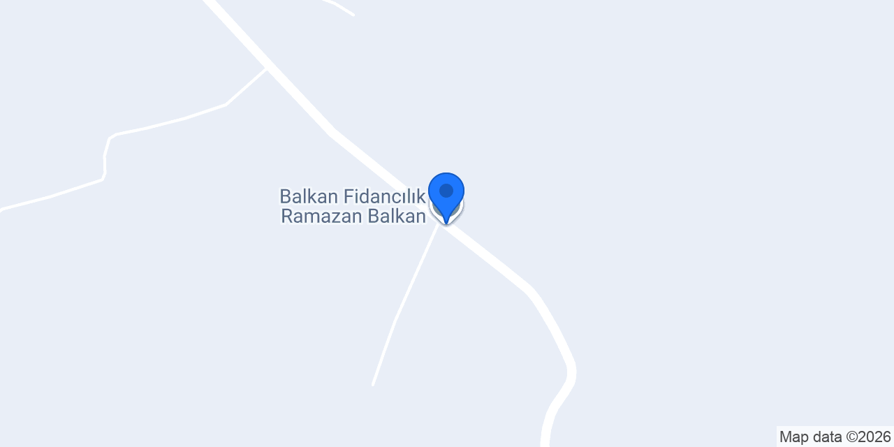 Balkan Fidancılık Ramazan Balkan konumu