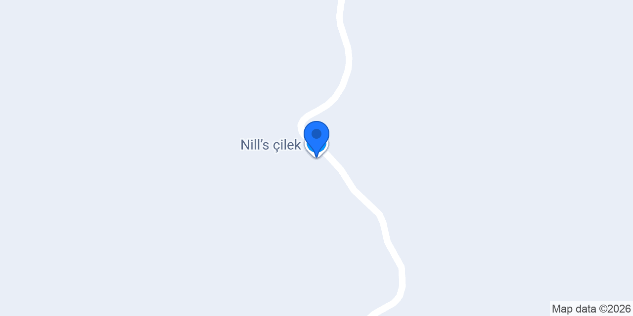 Nill’s çilek konumu