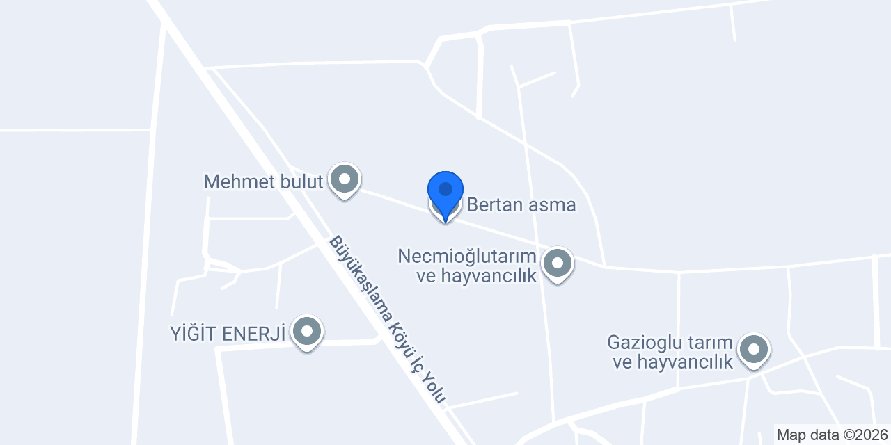 Bertan asma konumu