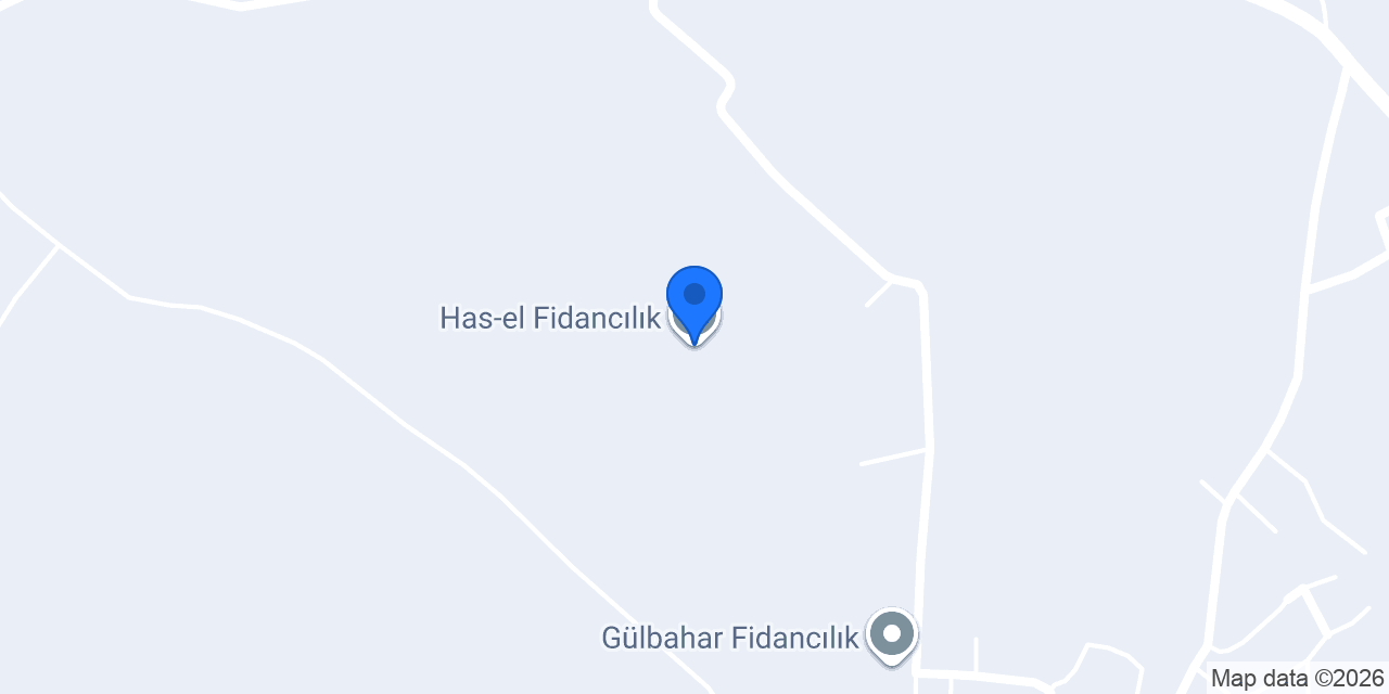Has-el Fidancılık konumu