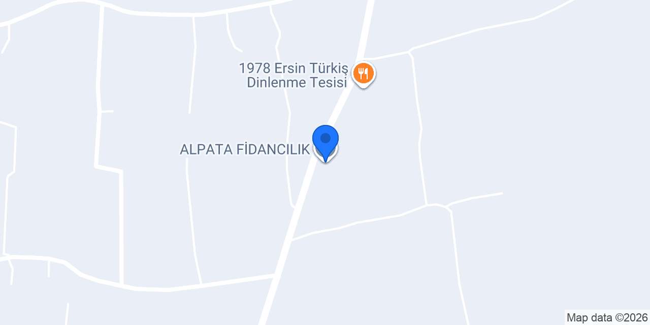 ALPATA FİDANCILIK konumu