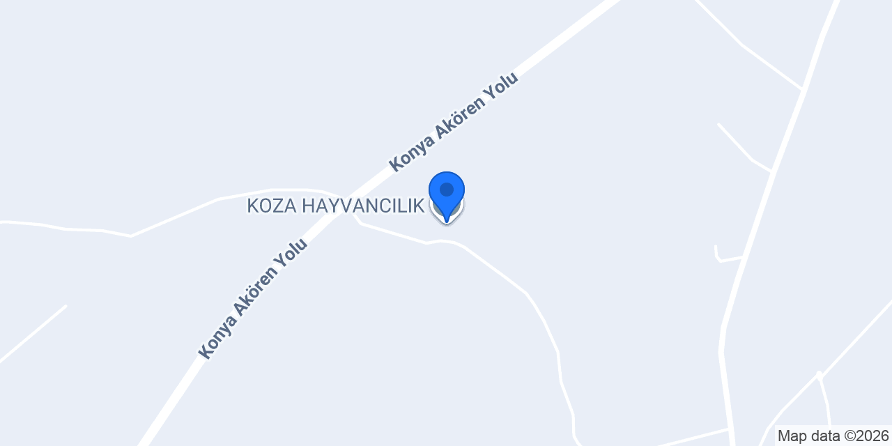 KOZA HAYVANCILIK konumu