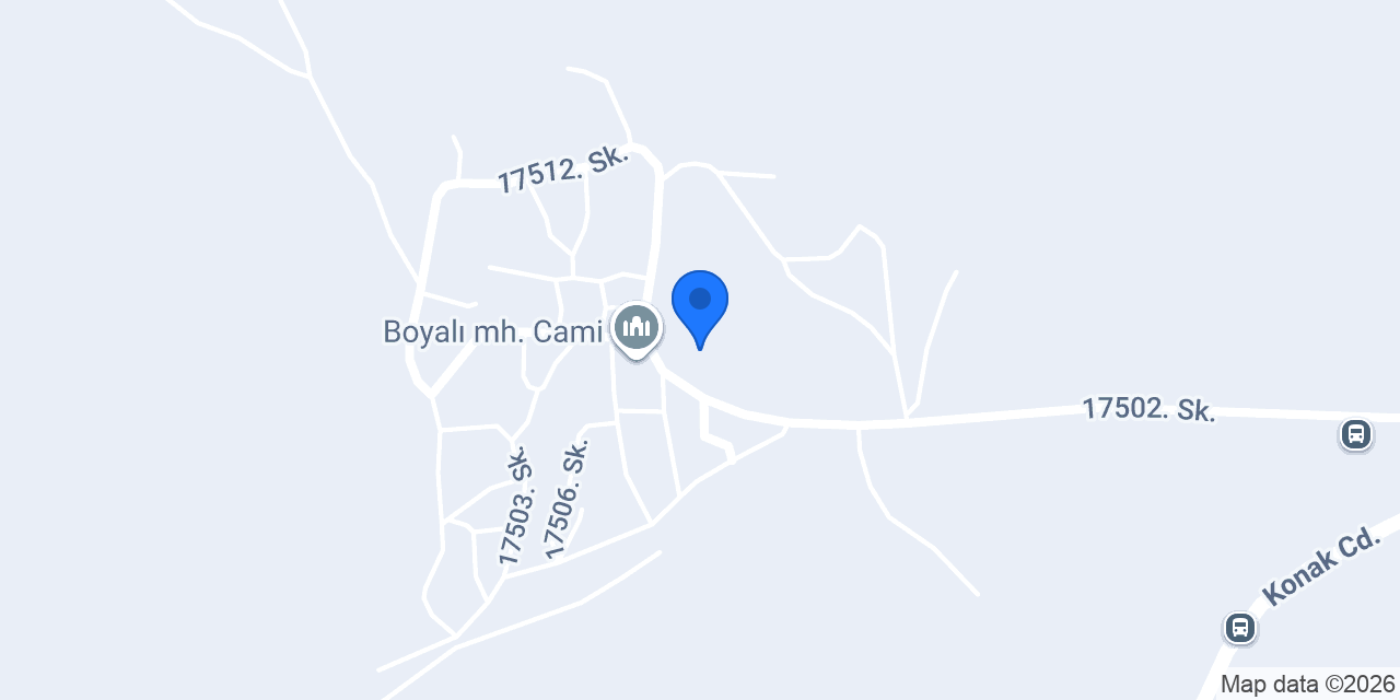 Boyalı İlköğretim Okulu konumu