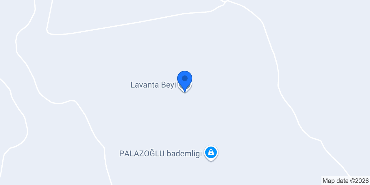 Lavanta Beyi konumu
