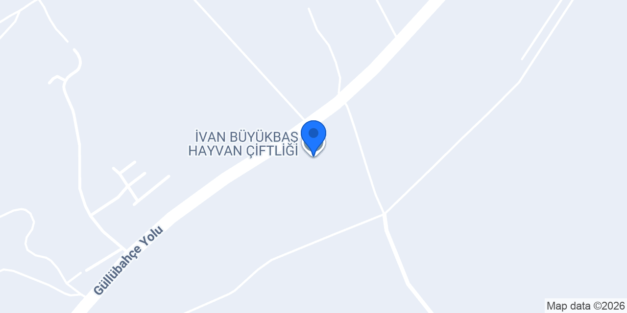 İVAN BÜYÜKBAŞ HAYVAN ÇİFTLİĞİ konumu