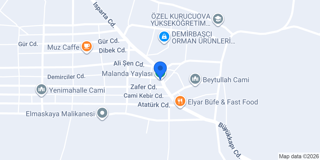 Oto elektrik konumu