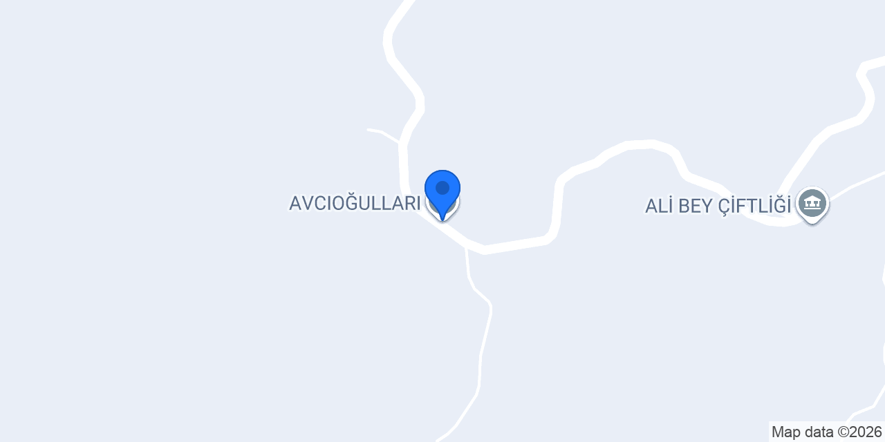 AVCIOĞULLARI konumu