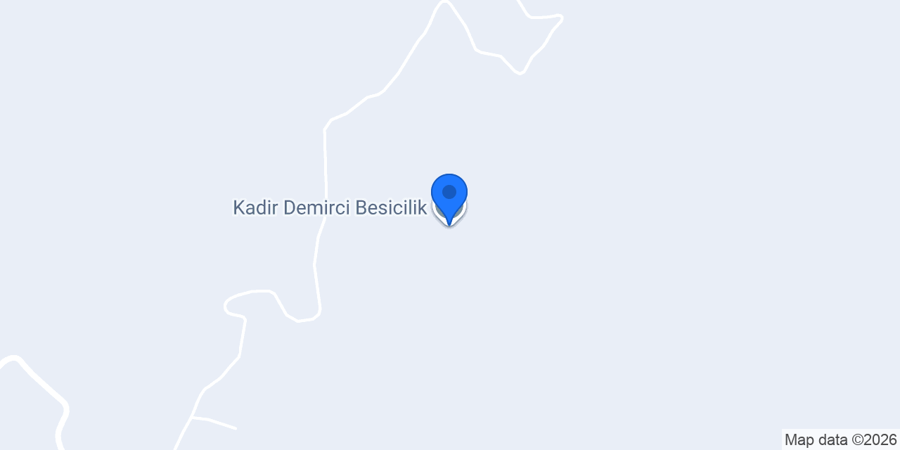 Kadir Demirci Besicilik konumu