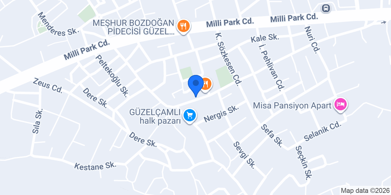 EGE ELEKTRİK konumu