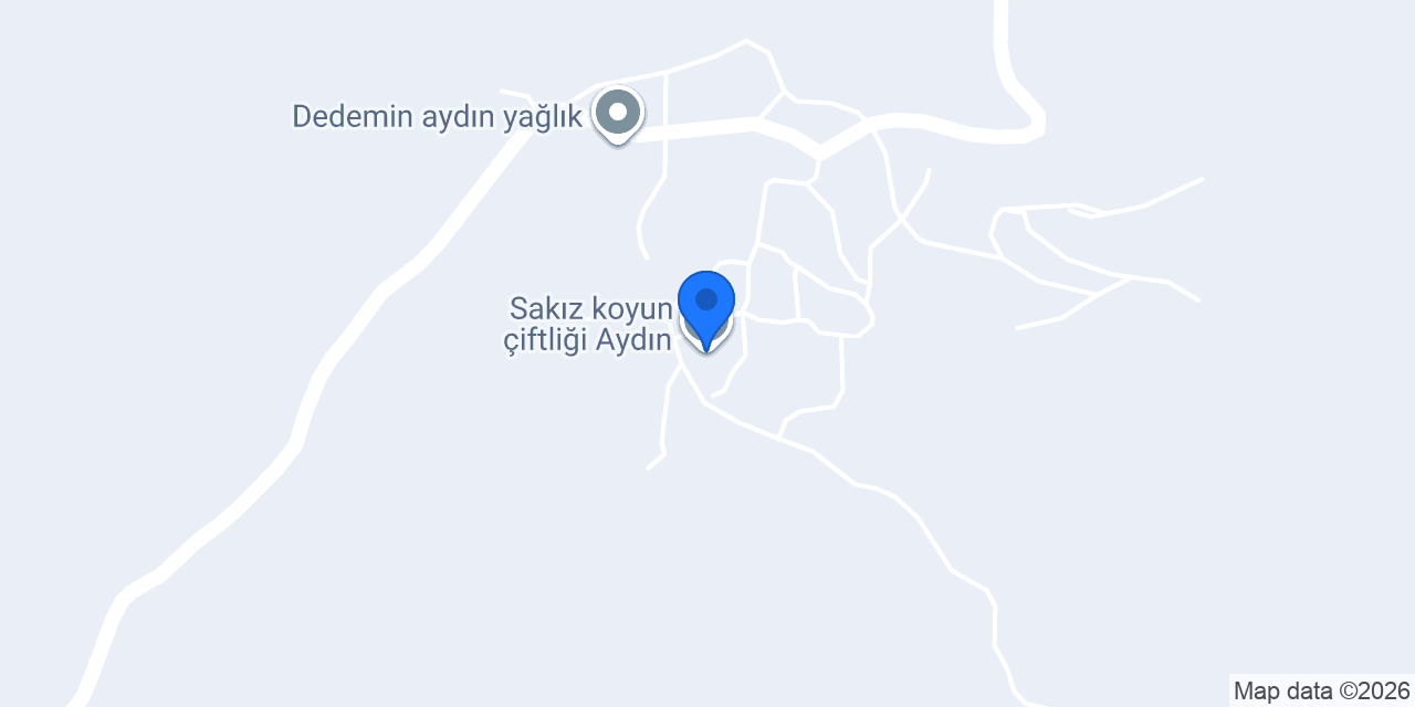 Sakız koyun çiftliği Aydın konumu