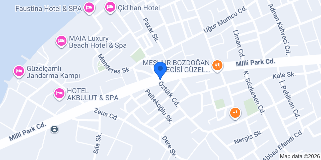 Terzi Kasım konumu