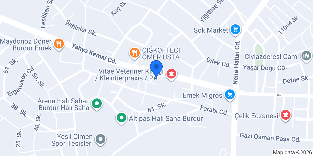MEGS Teknoloji konumu