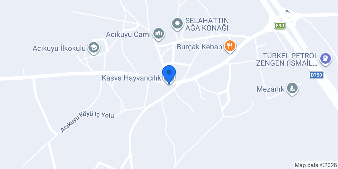 Kasva Hayvancılık konumu