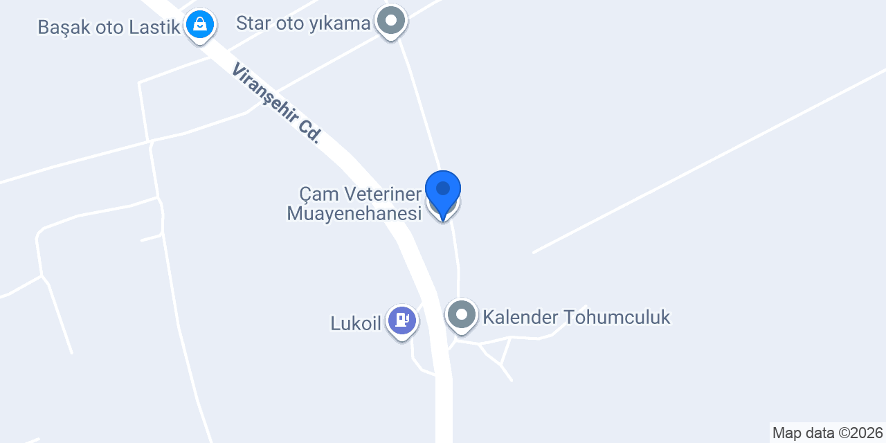 Çam Veteriner Muayenehanesi konumu
