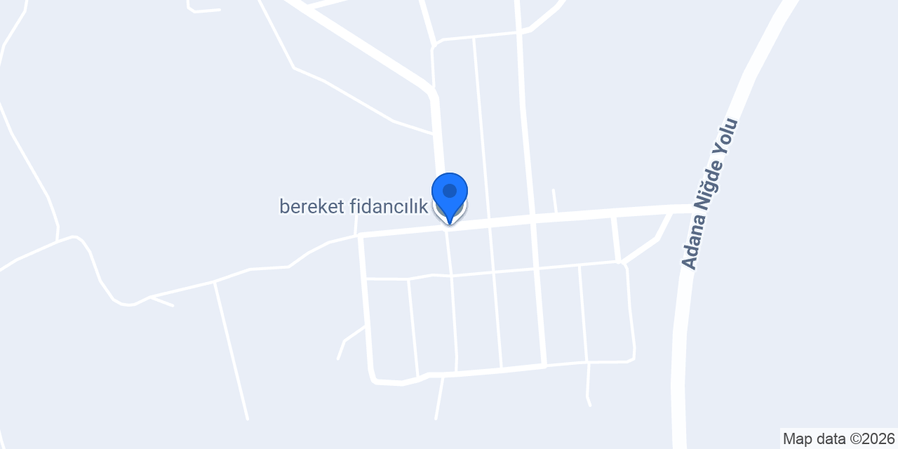 bereket fidancılık konumu