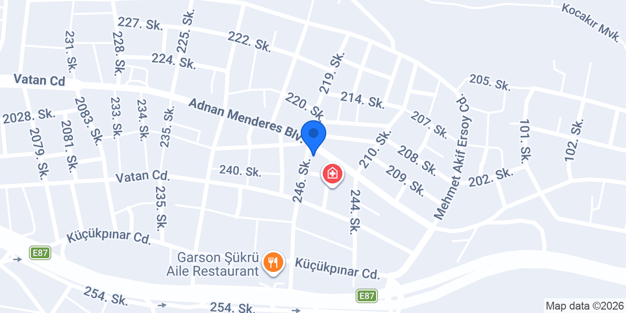 Nesa Terzi konumu