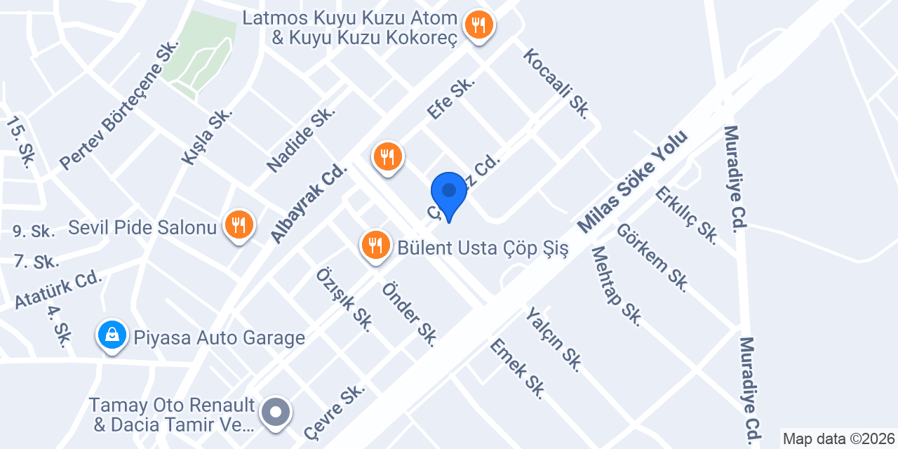 MER-WOS Özel Servis konumu