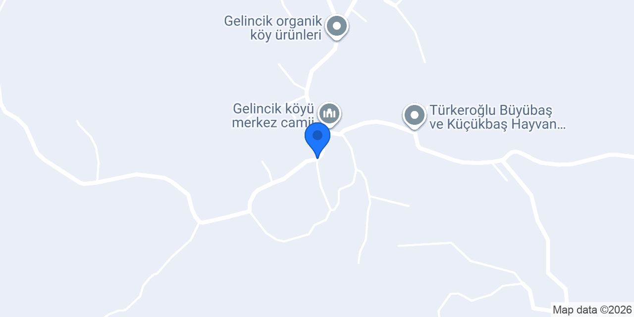 Gelincik aronya konumu