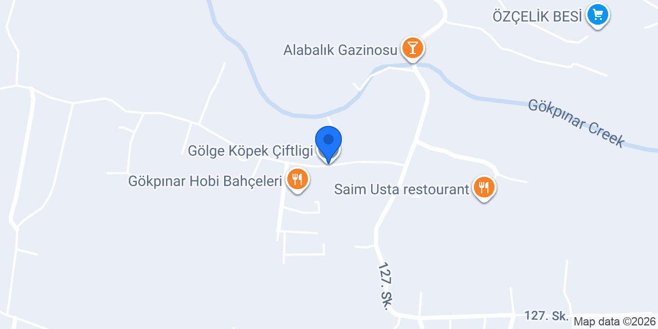 Gölge Köpek Çiftligi konumu