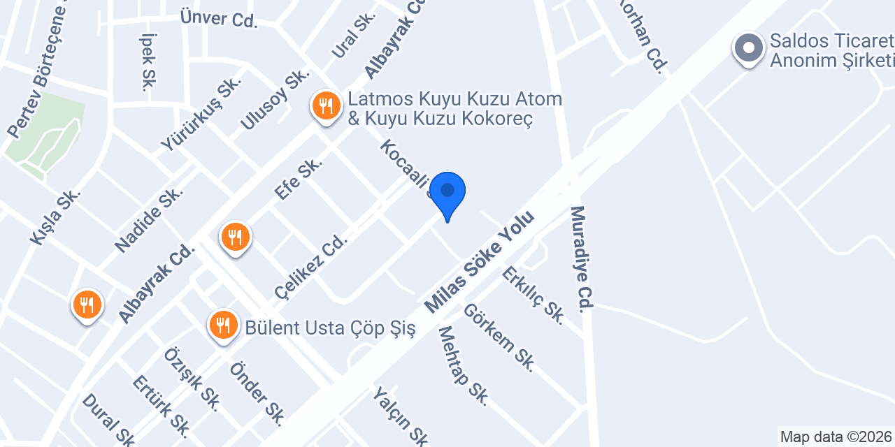Taşyumru Oto Elektrik Elektronik konumu