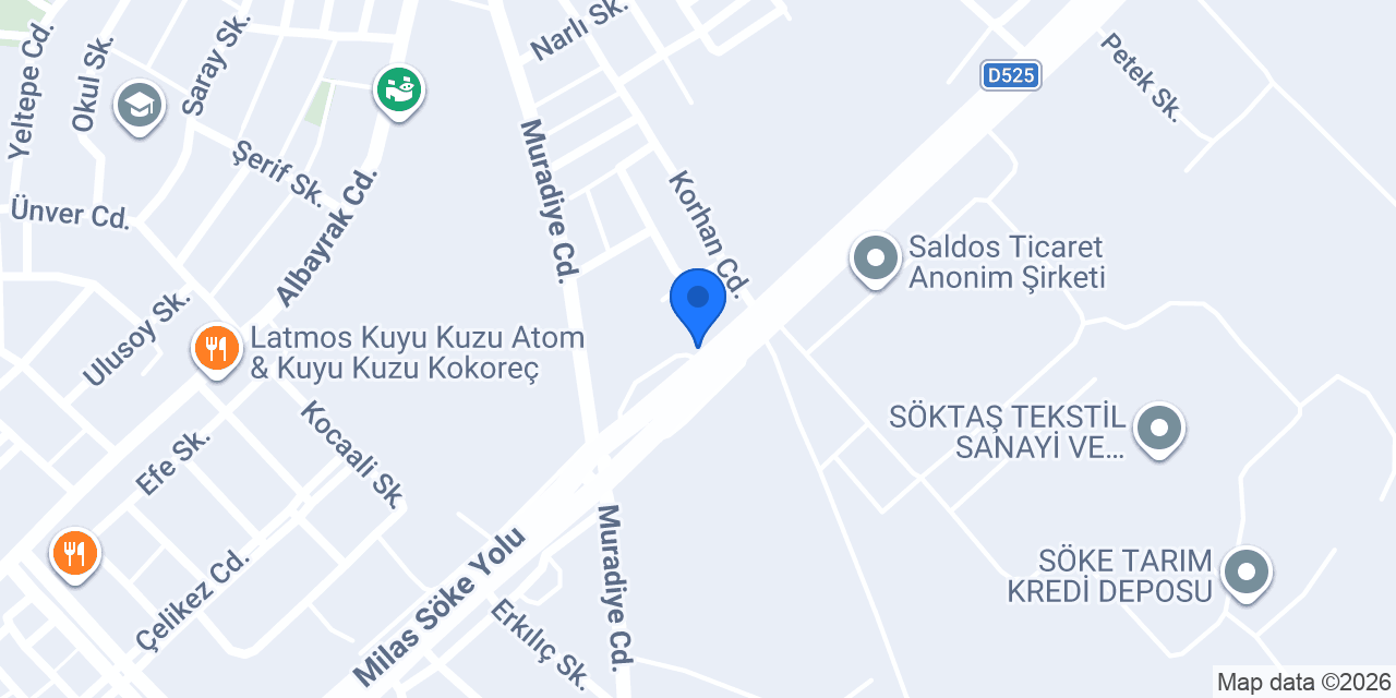 DADAŞ VINÇ SÖKE konumu