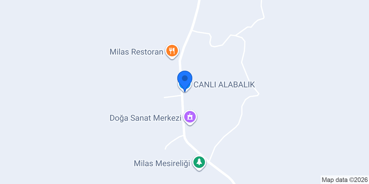 CANLI ALABALIK konumu