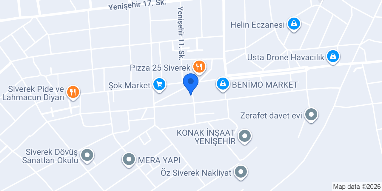 ZEF-NS Organizasyon konumu