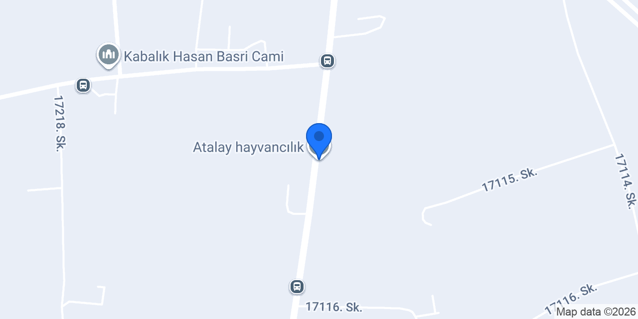 Atalay hayvancılık konumu