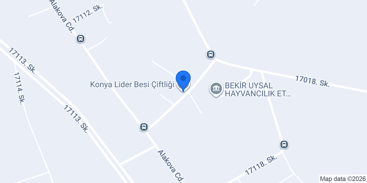 Konya Lider Besi Çiftliği konumu