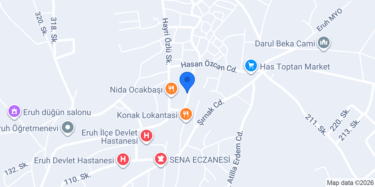 Özgür ELEKTİRİK konumu