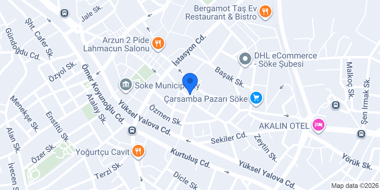 Kaya Elektronik konumu