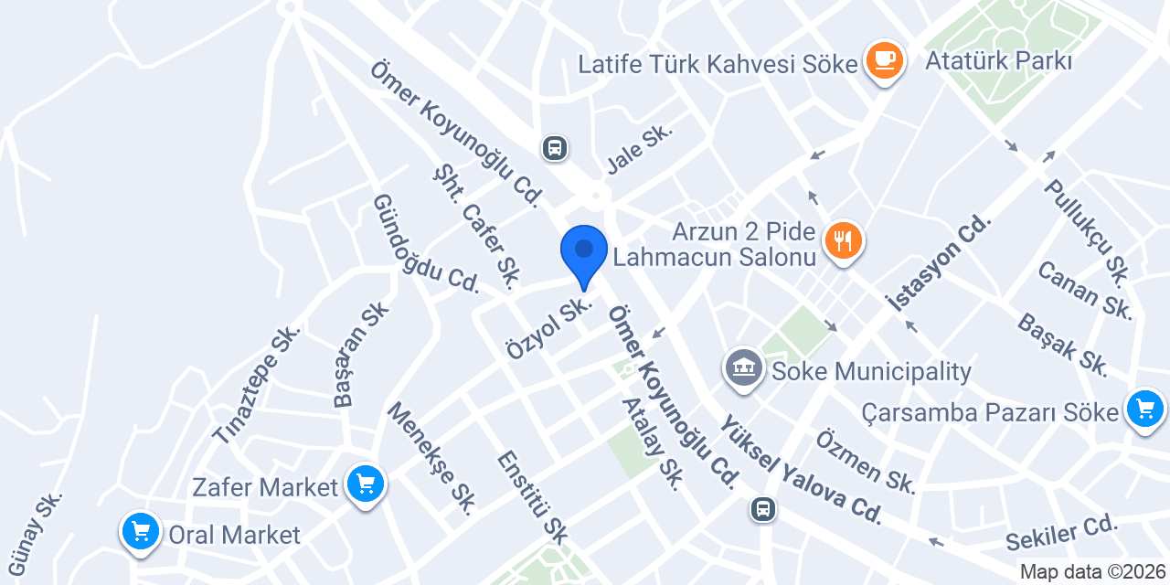 Aras Kargo Söke Şubesi konumu