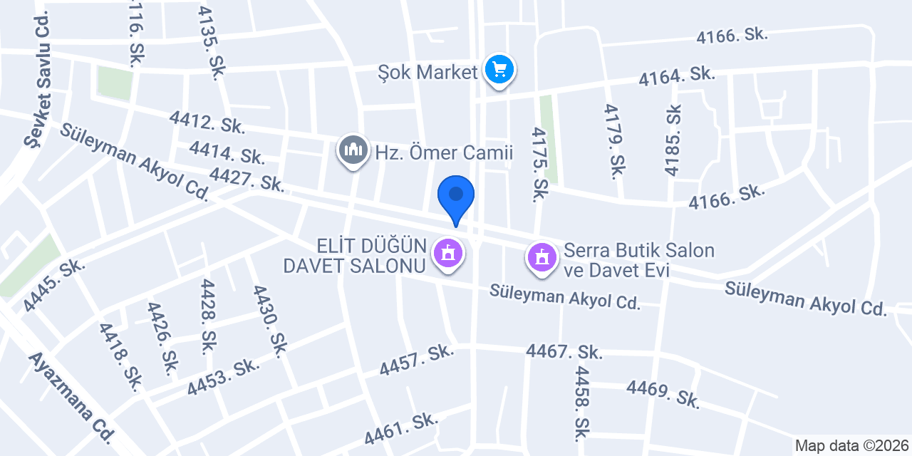 Demirtaş Oto Kurtarma konumu