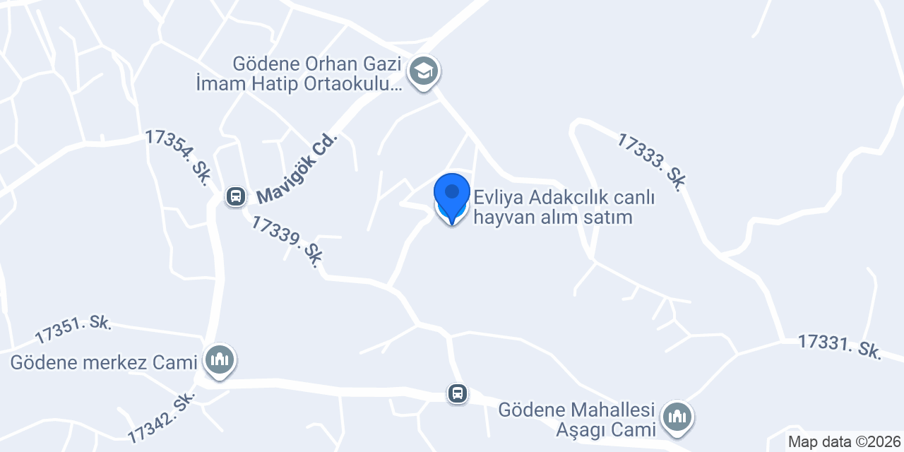 Evliya Adakcılık canlı hayvan alım satım konumu