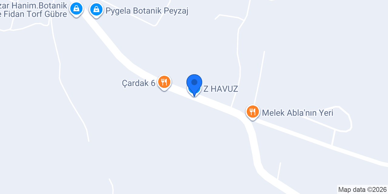 Z HAVUZ konumu