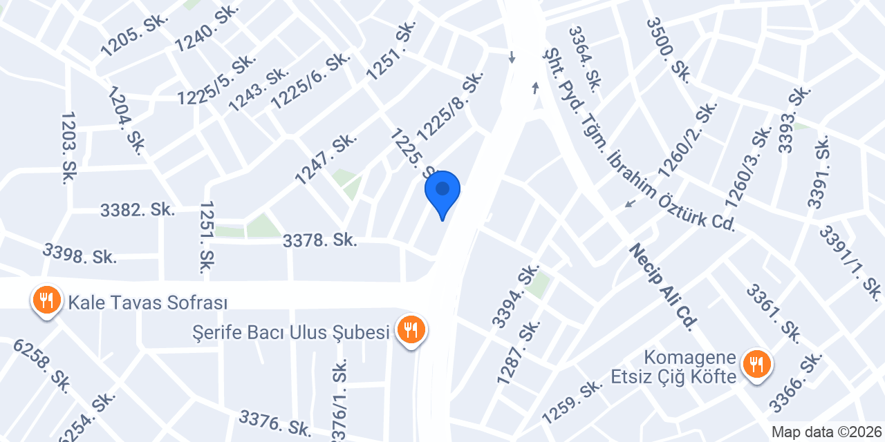 PALMİYE ÇİÇEKÇİLİK DENİZLİ konumu