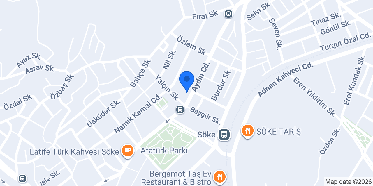 Domino's Pizza Söke konumu