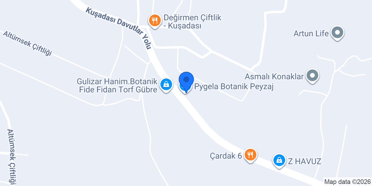 Pygela Botanik Peyzaj konumu