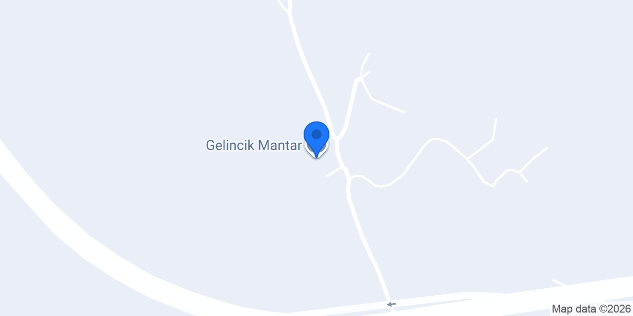 Gelincik Mantar konumu