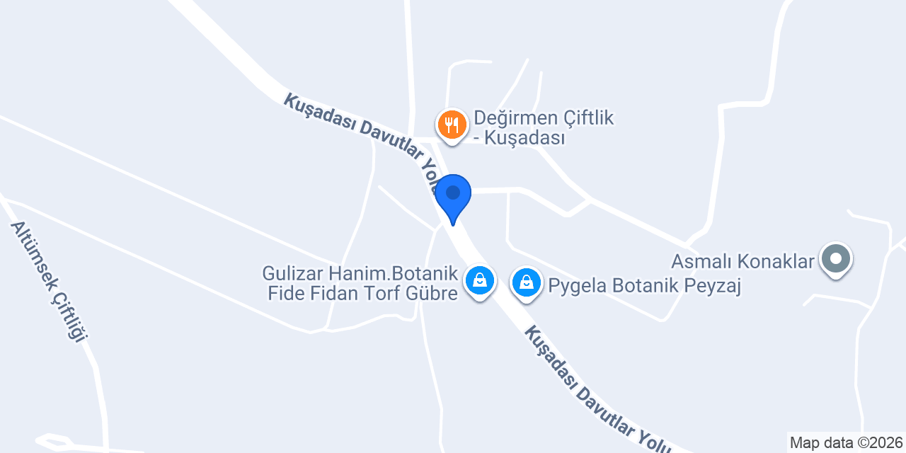 Mediteran Peyzaj konumu