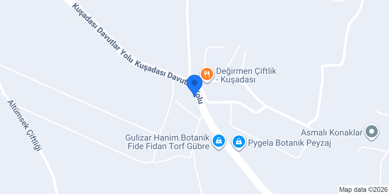 Tarihi Çınaraltı Restaurant konumu